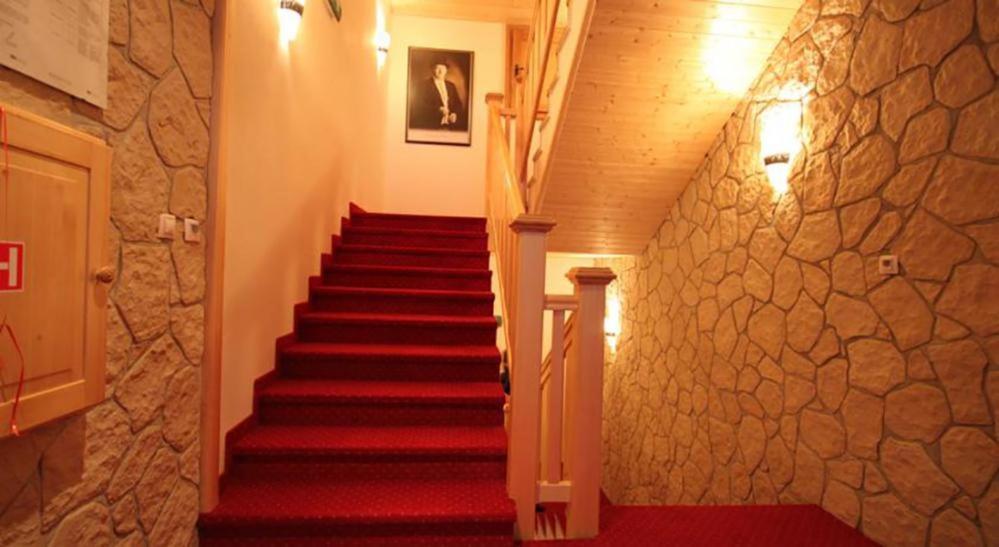 Horsky Hotel Vidly Karlova Studanka Ngoại thất bức ảnh